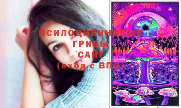 PSILOCYBIN Волоколамск